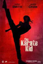 Watch The Karate Kid Merdb
