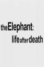 Watch The Elephant - Life After Death Merdb