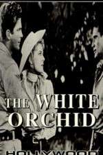 Watch The White Orchid Merdb
