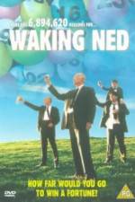 Watch Waking Ned Merdb