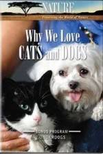 Watch Why We Love Cats And Dogs Merdb