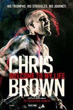 Watch Chris Brown Welcome to My Life Merdb