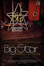 Watch Big Star: Nothing Can Hurt Me Merdb