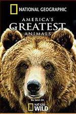 Watch America's Greatest Animals Merdb