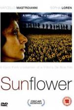 Watch Sunflower Merdb