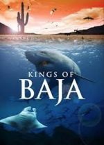 Watch Kings of Baja Merdb