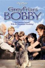 Watch Greyfriars Bobby The True Story of a Dog Merdb