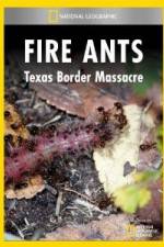 Watch National Geographic Fire Ants: Texas Border Massacre Merdb