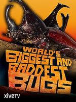 Watch World\'s Biggest and Baddest Bugs Merdb
