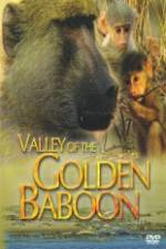 Watch National Geographic Golden Baboons Merdb