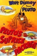 Watch Pluto\'s Surprise Package Merdb