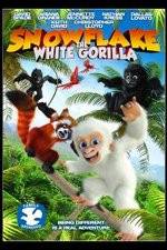 Watch Snowflake, the White Gorilla Merdb