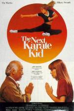 Watch The Next Karate Kid Merdb
