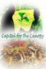 Watch Capital for the Canopy Merdb