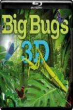 Watch Big Bugs in 3D Merdb
