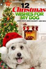 Watch 12 Christmas Wishes For My Dog Merdb