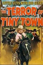 Watch The Terror of Tiny Town Merdb