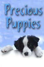 Watch Precious Puppies Merdb