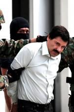 Watch The Rise and Fall of El Chapo Merdb
