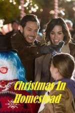 Watch Christmas in Homestead Merdb
