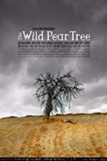 Watch The Wild Pear Tree Merdb