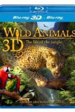 Watch Wild Animals - The Life of the Jungle 3D Merdb
