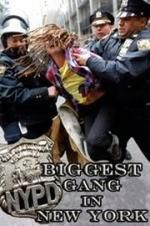 Watch NYPD: Biggest Gang in New York? Merdb