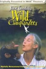 Watch Jane Goodall's Wild Chimpanzees Merdb