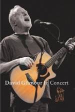 Watch David Gilmour in Concert - Live at Robert Wyatt's Meltdown Merdb