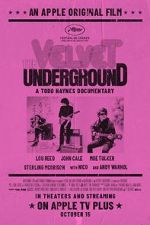 Watch The Velvet Underground Merdb
