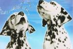 Watch 101 Dalmatians Sing Along Merdb