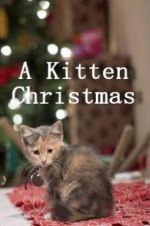 Watch A Kitten Christmas Merdb
