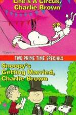 Watch Snoopy's Getting Married Charlie Brown Merdb