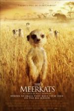 Watch The Meerkats Merdb