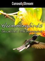 Watch Hummingbirds Jewelled Messengers Merdb