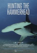 Watch Hunting the Hammerhead Merdb
