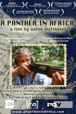 Watch A Panther in Africa Merdb