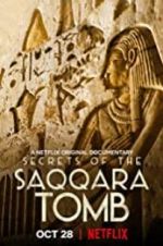 Watch Secrets of the Saqqara Tomb Merdb