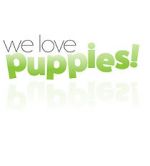 Watch We Love Puppies Merdb