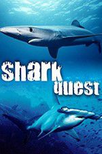 Watch Shark Quest Merdb