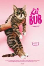 Watch Lil Bub & Friendz Merdb