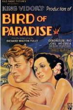 Watch Bird of Paradise Merdb