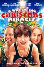 Watch A Wrestling Christmas Miracle Merdb