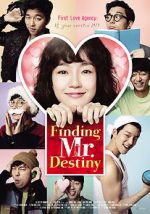 Watch Finding Mr. Destiny Merdb