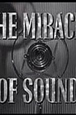 Watch The Miracle of Sound Merdb