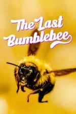 Watch The Last Bumblebee Merdb