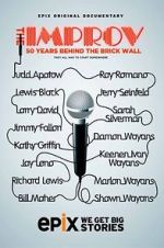 Watch The Improv: 50 Years Behind the Brick Wall (TV Special 2013) Merdb