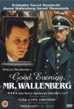 Watch Good Evening, Mr. Wallenberg Merdb