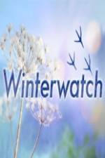 Watch Winterwatch Merdb