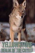 Watch Yellowstone: Realm of the Coyote Merdb